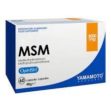 MSM 60 CAPSULE - YAMAMOTO NUTRITION