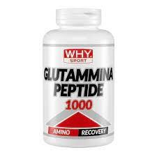 GLUTAMMINA PEPTIDE 1000 - WHY SPORT