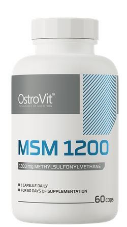 MSM 1200
