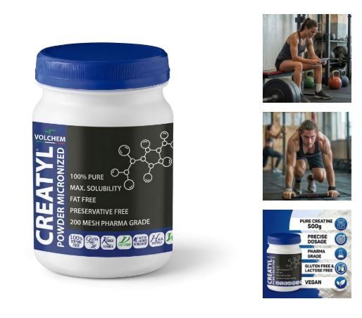 CREATYL POWER MICRONIZED 500GR - VOLCHEM