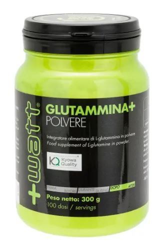 GLUTAMMINA POLVERE 300 - WATT