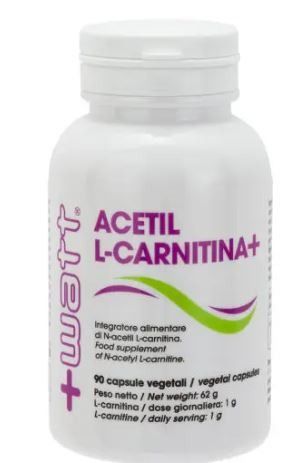 ACETIL L-CARNITINA 90 CPS - +WATT