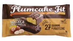 PLUMCAKE FIT 50 GR - TSUNAMI