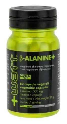 B-ALANINE+ 60 CPS +WATT