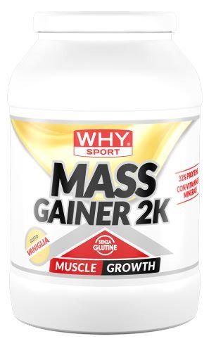 MASS GAINER 2K 2000 GR - WHY SPORT