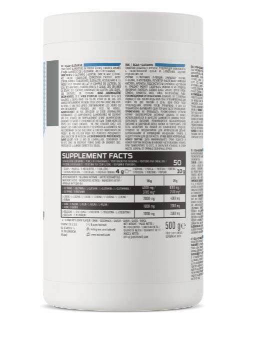 BCAA + GLUTAMINE 500 GR  - OSTROVIT