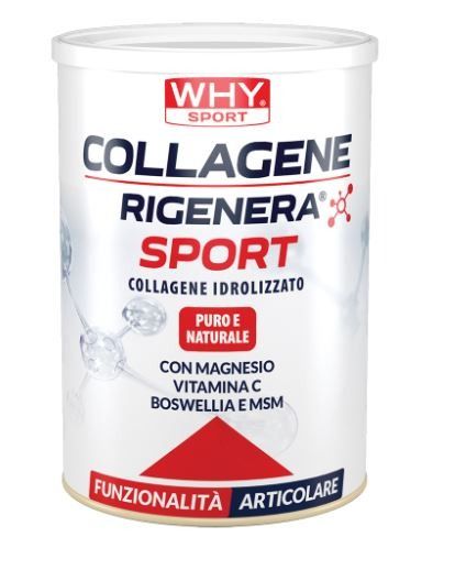 COLLAGENE RIGENERA SPORT 330 GR - WHY SPORT