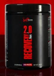 RECOVERY PURE PROFESSIONAL 2.0 450 GR - TSUNAMI