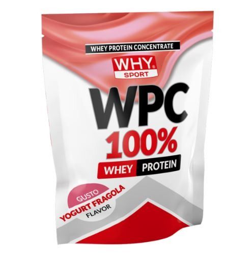 WPC 100 % WHEY 1 KG - WHY SPORT