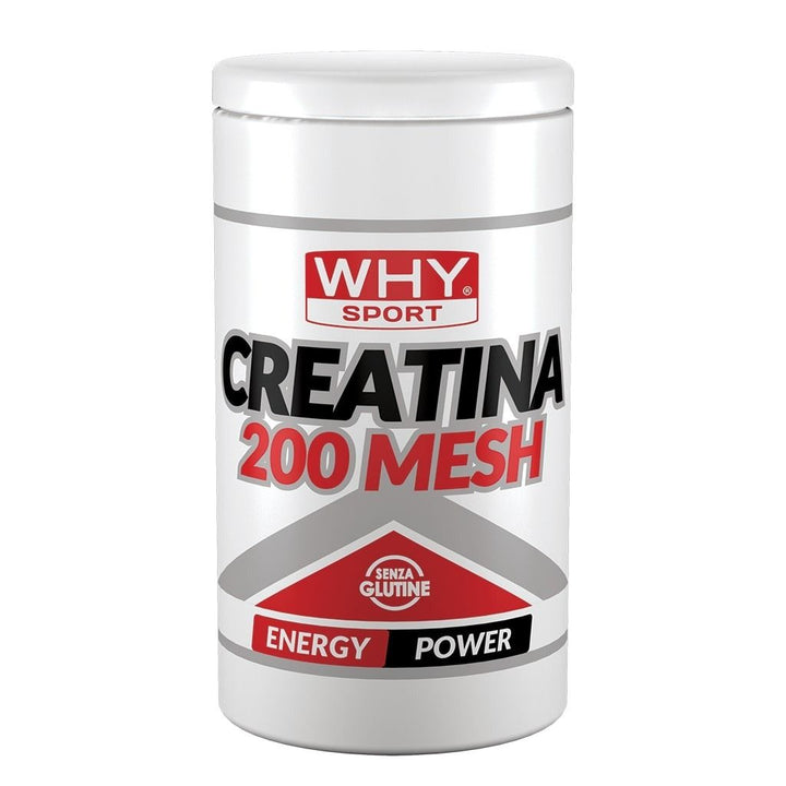 CREATINA 200 MESH - WHY SPORT