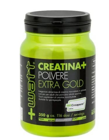 CREATINA+ EXTRA GOLD 350 GR | +WATT