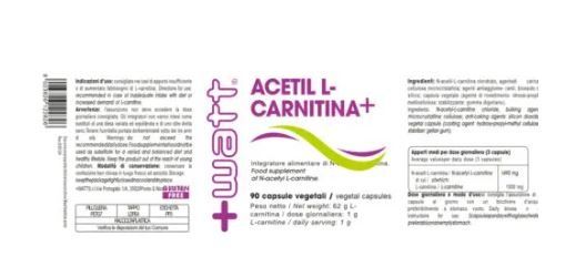 ACETIL L-CARNITINA 90 CPS - +WATT